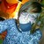 :iconjezzijinxxx: