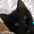 :iconjfirestarlover101321: