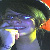 :iconjflowerrs: