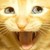 :iconjfriggin: