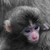 jgraham95 :iconjgraham95: