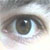 :iconjhalalay:
