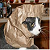 :iconjhendershot:
