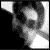 :iconjhhwild: