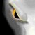 :iconjhon117masterchieff: