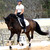 :iconjhorsespace: