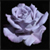 :iconjhthorne: