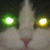 :iconji-sushi: