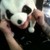 :iconjianchong: