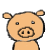 :iconjiangpiggy: