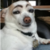:iconjibjab910: