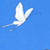 :iconjig-chan: