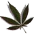 :iconjigga-jayb: