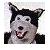 :iconjiggol: