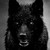 :iconjiggybeatz: