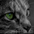 :iconjillvj: