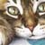 :iconjillybeans41: