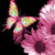 :iconjillybilly327: