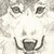 :iconjilopez: