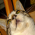 :iconJim-B: