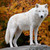 Jimhawkinslover111 :iconjimhawkinslover111: