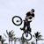 :iconjiminy-plodger: