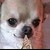 :iconjimmayelskitzo:
