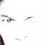 :iconjimmo4110: