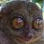 :iconjimmypopcorn:
