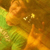 :iconjimoy: