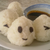 :iconjin-mifeng: