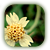 :iconjinggle: