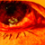 :iconjinhuang: