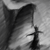 :iconjinnseng: