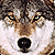 :iconJinrou: