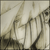 :iconjintodragon: