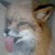 :iconjinx613: