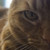 :iconjinx781227: