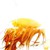 :iconjinxoftheshadows: