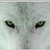:iconjira-jara: