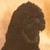 :iconjira004: