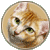 :iconjitmett: