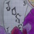 :iconjits1: