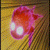 :iconjitsu:
