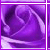 :iconjittersbugg: