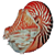 :iconjiyurii: