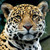:iconjjcool1233: