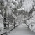 :iconjjdahlphotography: