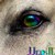 :iconjjeds112: