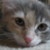 :iconjjmac189: